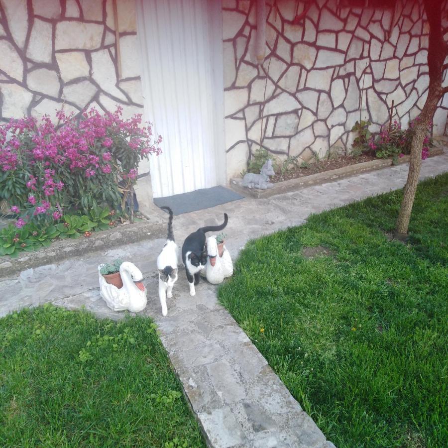 Apartamento Janina Hisa Stolac Exterior foto